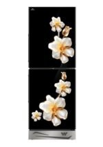 WFB-2B3-GDXX-XX REFRIGERATOR - Image 4